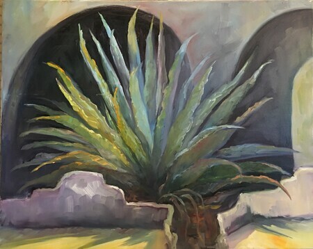 Sunlit Agave and Arches